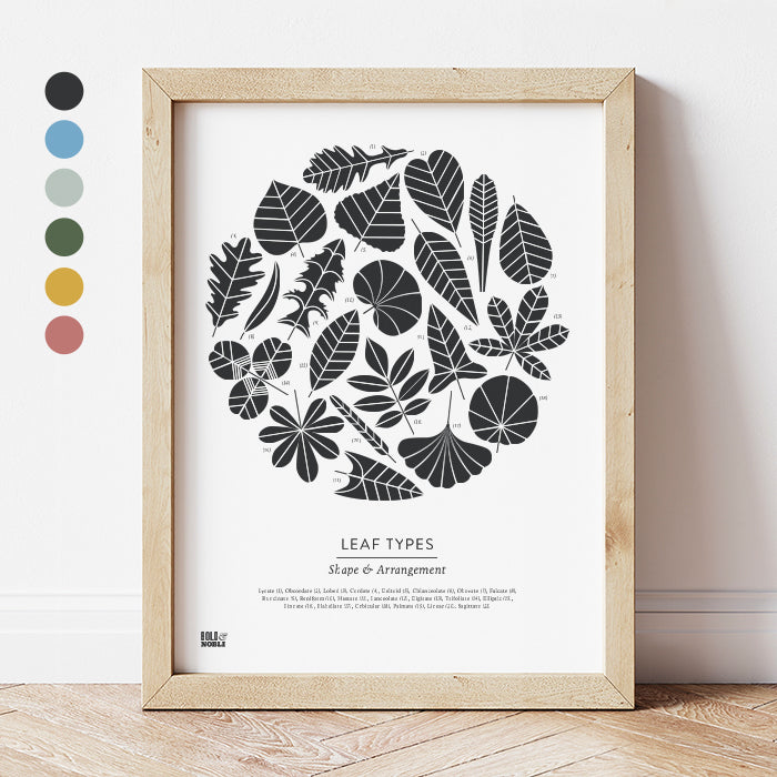 'Leaf Shapes' Botanical Art Print